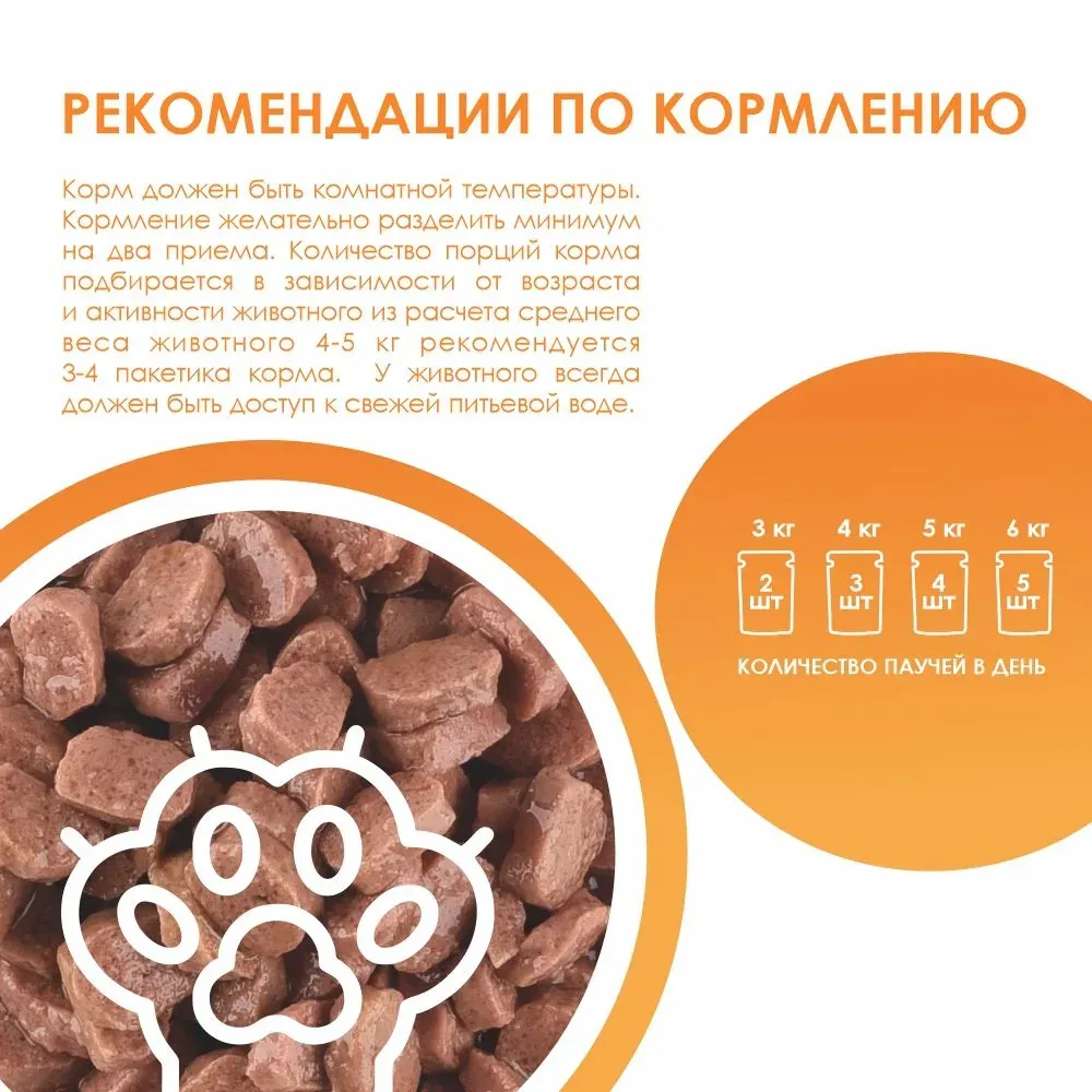 Kissa Пауч для кошек (Курица в соусе)