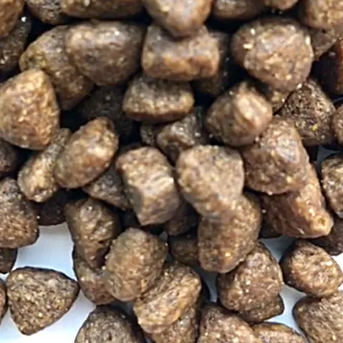 ZooRing Adult Cat (Индейка, лосось)