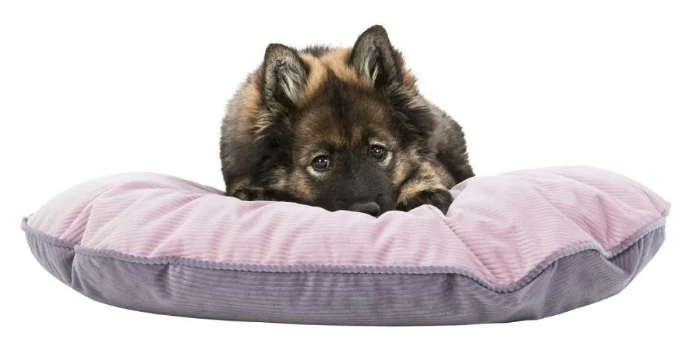 Лежак "Trixie" "Lupo", розовый/фиолетовый