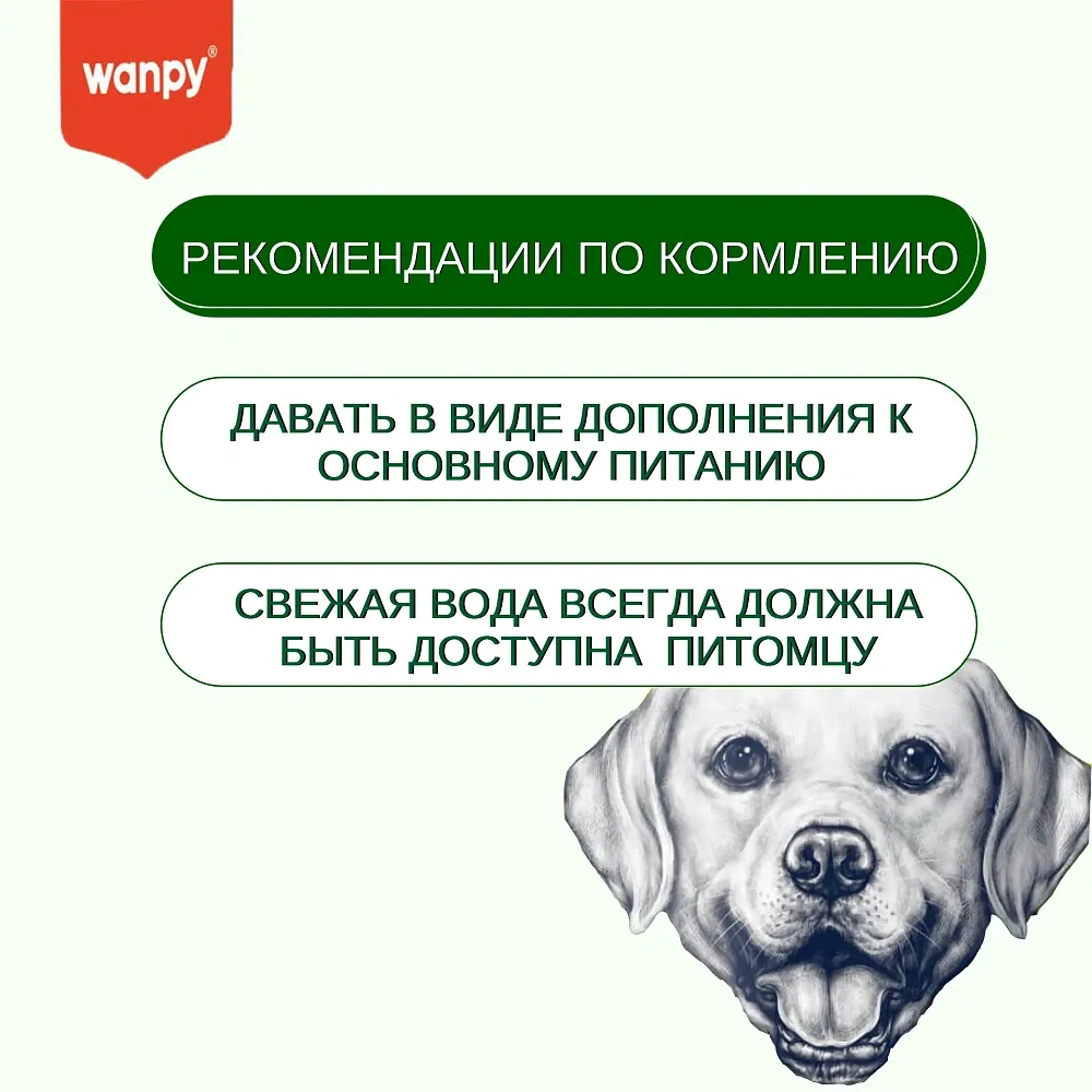 Wanpy Dog Зубные щетки со вкусом говядины