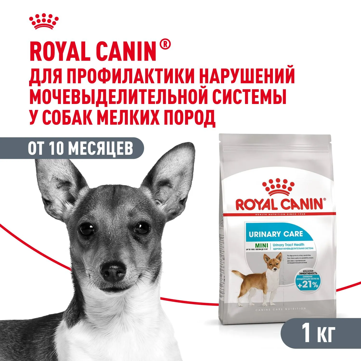 Корм Royal Canin Mini Urinary Care для собак