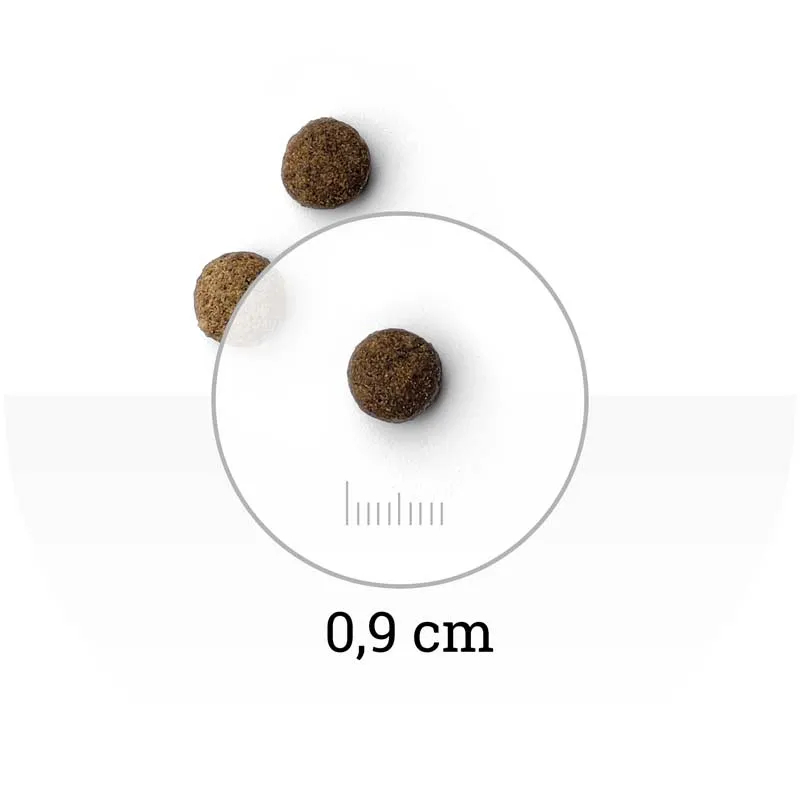 Natura Wild Rocky Plain Adult Cat (Курица)