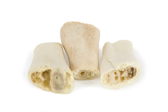 ТИТБИТ Голень баранья - Б2-L