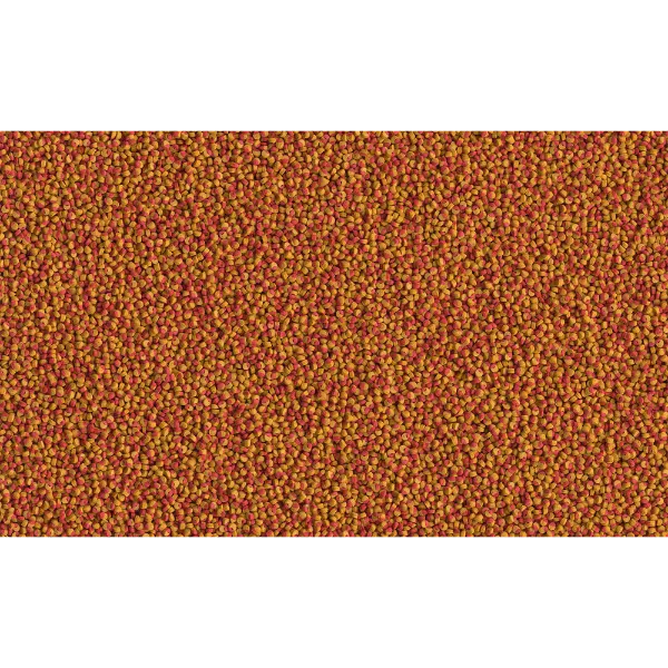 Tetra Корм Cichlid Colour Mini