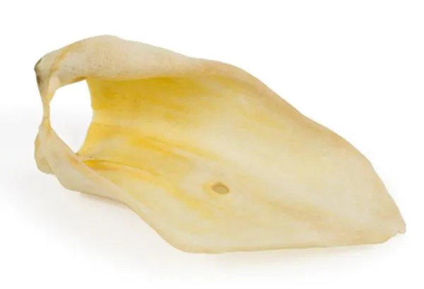 ТИТБИТ Ухо говяжье 1 - мягкая упаковка