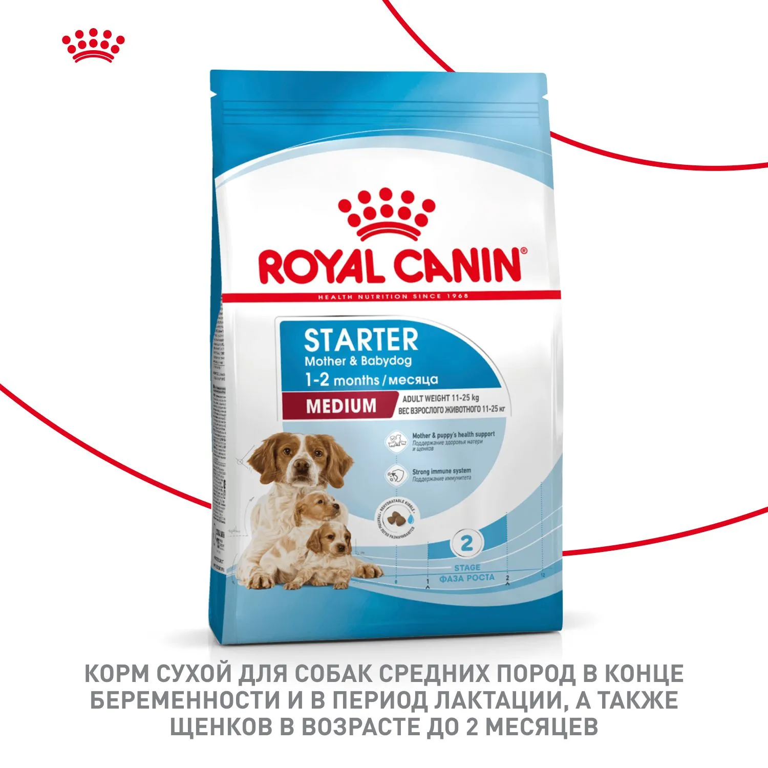 Royal Canin Medium Starter