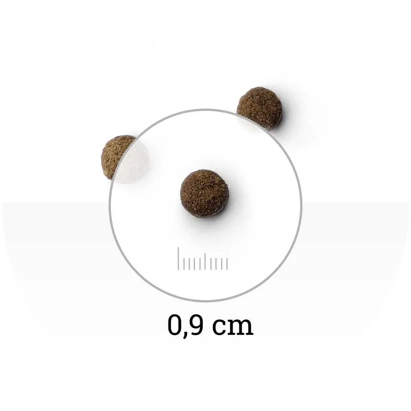 Natura Wild Niagara Falls Adult Cat (Фазан)