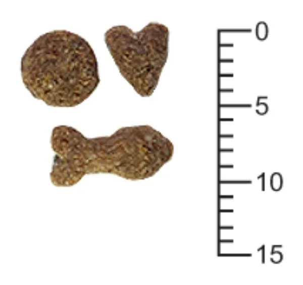 Терра Кот для взрослых кошек (Цыпленок)