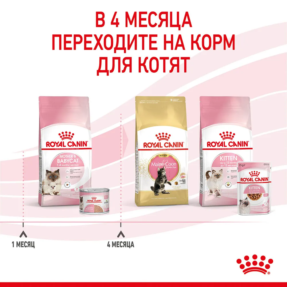 Royal Canin Mother & Babycat (мусс)