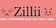 ZILLII