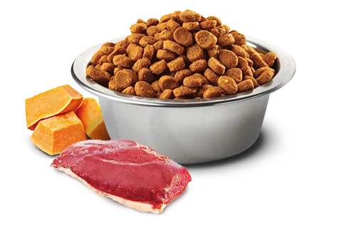 Farmina N&D Pumpkin GF Adult Medium & Maxi (Тыква, утка, дыня)