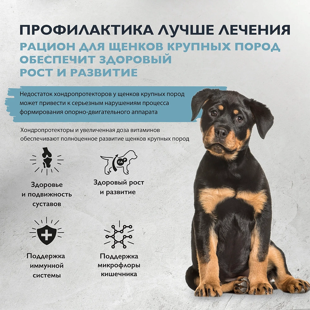 Brit Care Dog Puppy&Junior L Healthy Growth (Индейка, ягненок)