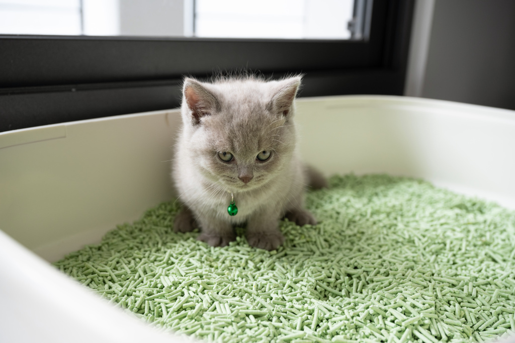Кошачий наполнитель Кошачий наполнитель
